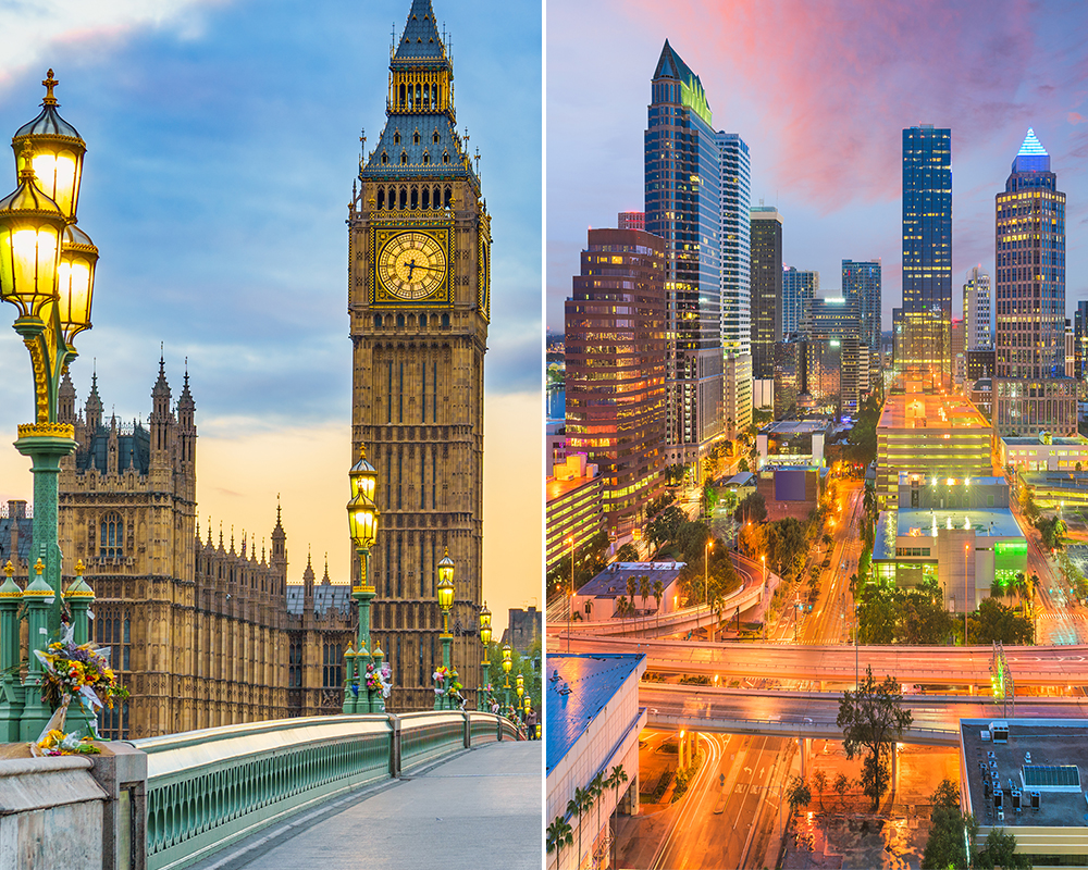 image of what do I need to practice veterinary medicine in America, from England